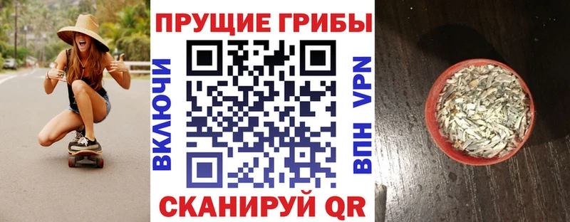 Псилоцибиновые грибы Psilocybe  блэк спрут ссылка  Белоозёрский 